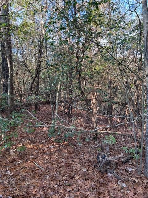 Lot 18 Frances Drive, Ellijay, Georgia image 6