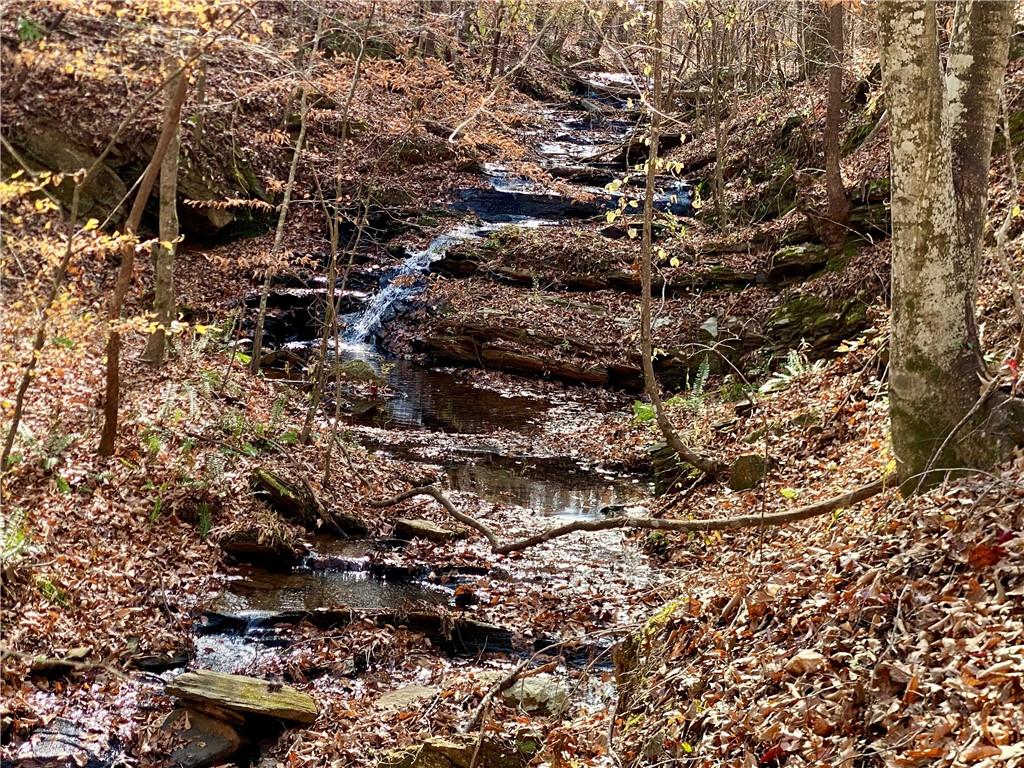 Curry Falls Trail, Athens, Georgia image 2