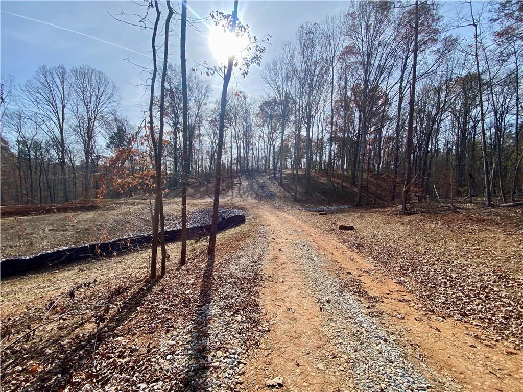 Curry Falls Trail, Athens, Georgia image 5