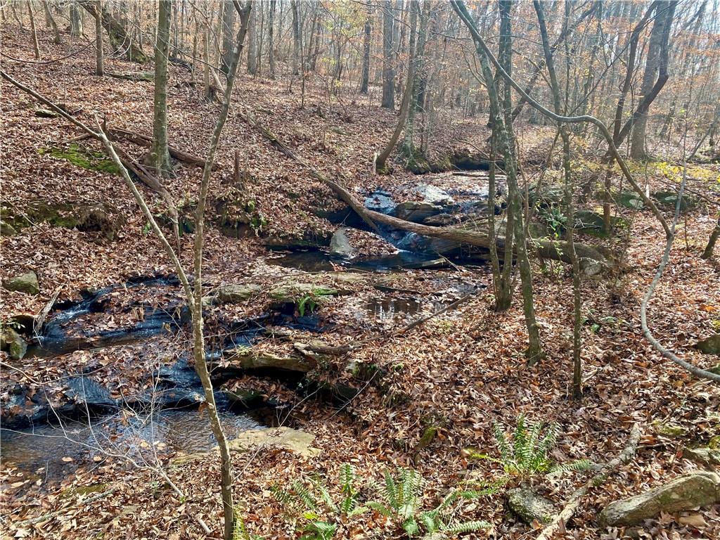 Curry Falls Trail, Athens, Georgia image 3