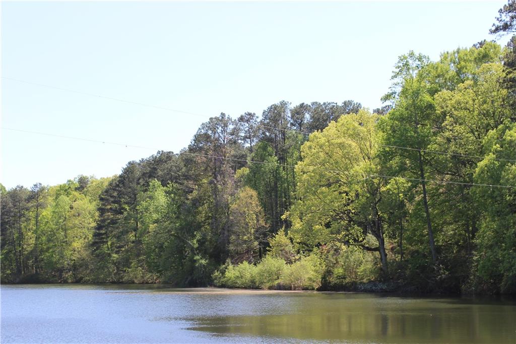 225 Bayswater Drive, Suwanee, Georgia image 43