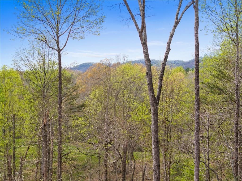 1134 Maggie Chapman Road