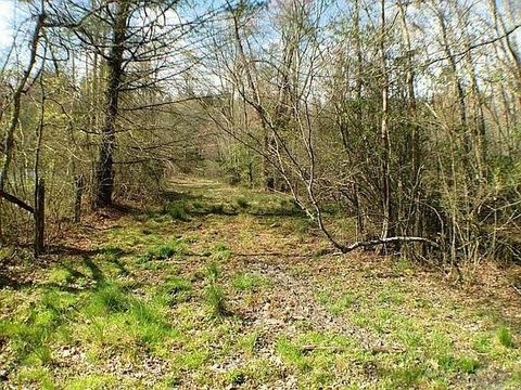 Vacant Land For Sale - Doublehead Gap Road<br/> Fannin County, Blue Ridge, GA 30513