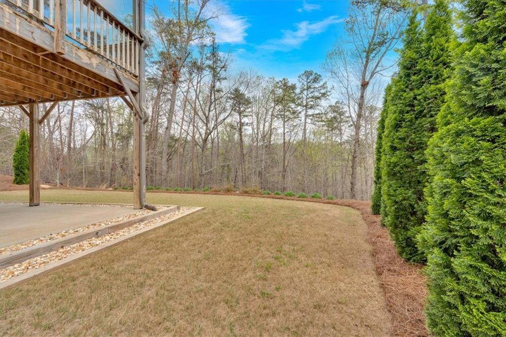 359 Woodridge Pass, Canton, Georgia image 49
