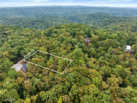 0 Pamela Ellijay GA 30540