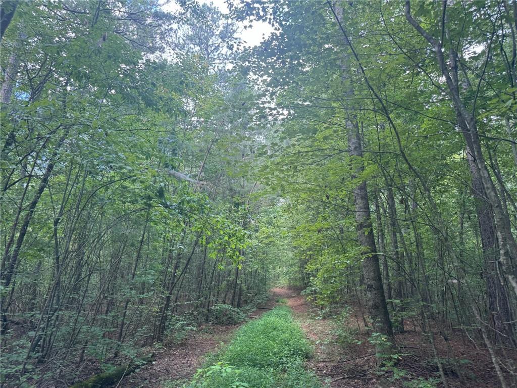 Acreage is perfect for an private estate home, farm or family compound. Land is mostly flat and ready for your vision. Perfect to clear for a pasture or gardens. It offers both seclusion and accessibility — a unique rare find in North Georgia.