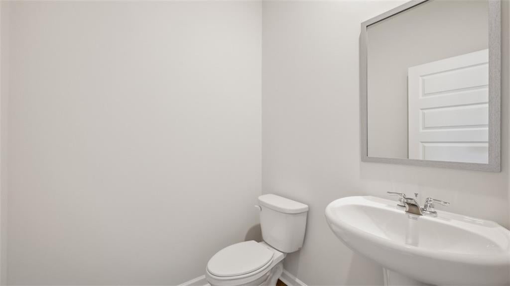 134 White Spruce