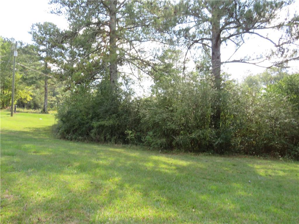 408 Mountain Home Road, Cedartown, Georgia image 9