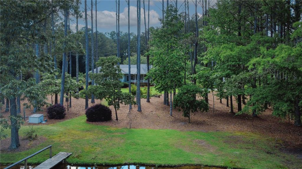 3140 Thoreau Court, Loganville, Georgia image 48