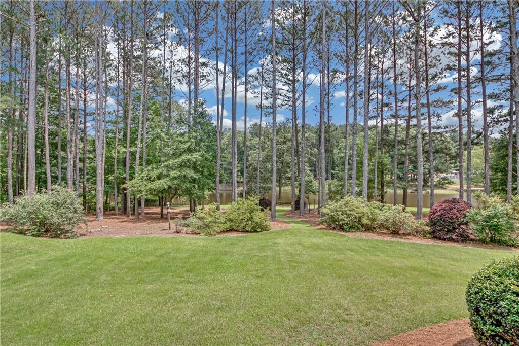3140 Thoreau Court, Loganville, Georgia image 40