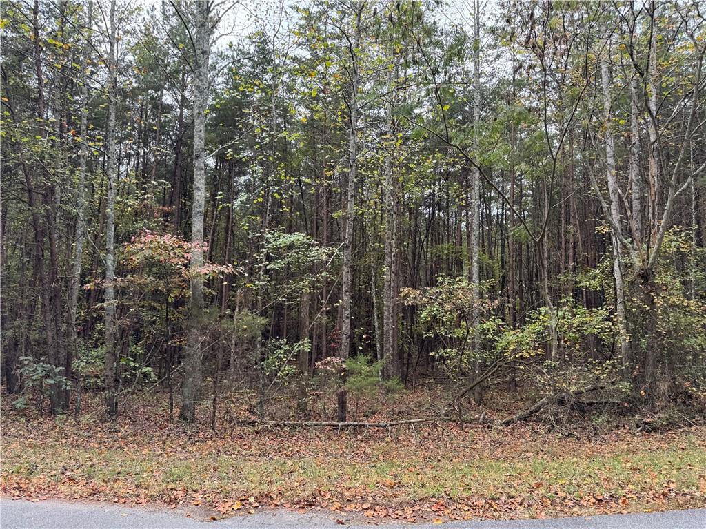 00 Cagle Road