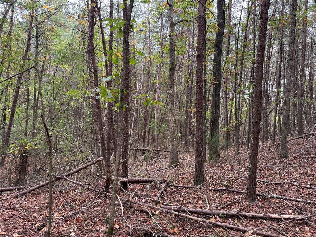 00 Cagle Road