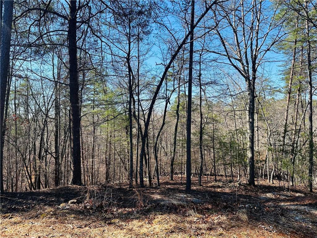 Gorgeous heavily wooded 1.32 acre lot on cul-de-sac, perfect for a walk-out basement! Long range and sunset views. Gorgeous lot for sale in private secluded gated community in the city limits of Dahlonega. Minutes from downtown offering swim/tennis. Dahlonega boasts #1 rank of the safest and best city to live in Georgia. Southern Living ranks Dahlonega as the #4 best town in the nation to live in! Dahlonega has a quaint in town environment, small university, and new hospital under construction. Endless beauty located at the foothills of the Appalachian Mountains. The Overlook at Crown Mountain offers water, sewer, natural gas and is gated with underground utilities. Blue prints are a modification of stock plan. Schedule a showing today to tour this piece of paradise in North Georgia!