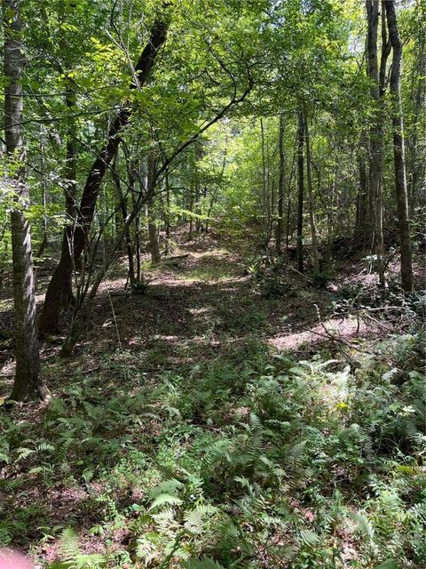 Vacant Land For Sale - Ga Highway 120<br/> Tallapoosa, GA 30176