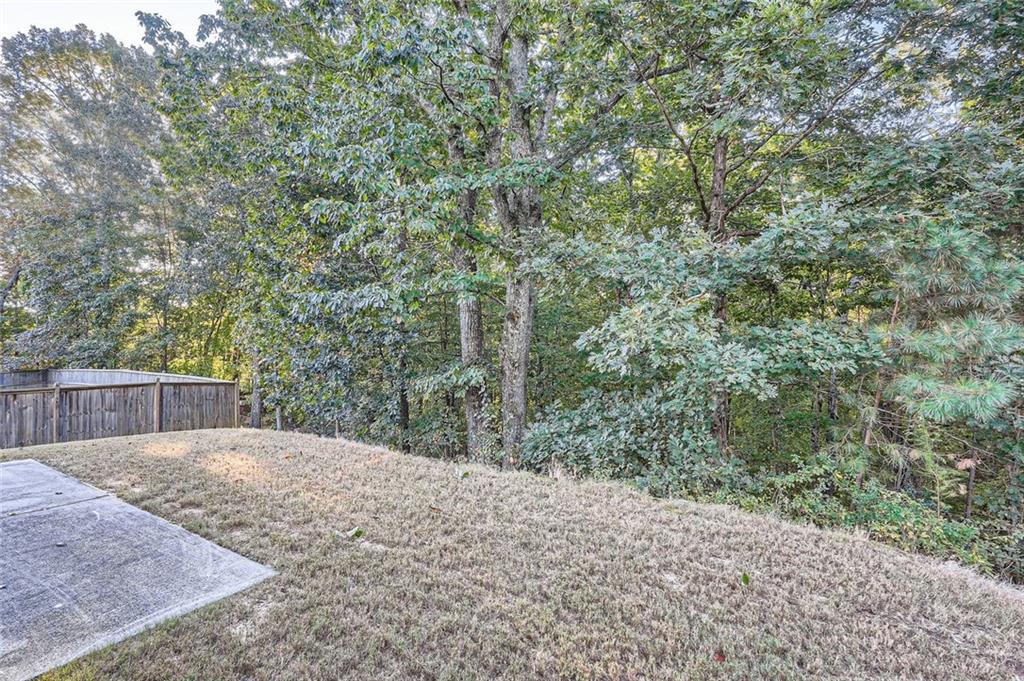 435 Dublin Way, Dallas, Georgia image 27