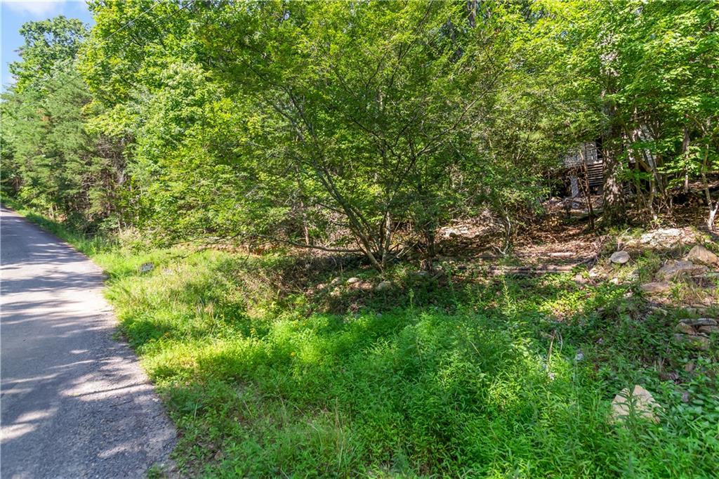 1776 Mulberry Circle, Jasper, Georgia image 3