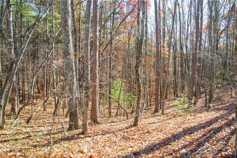 119 Waldrip Road Dawsonville GA 30536