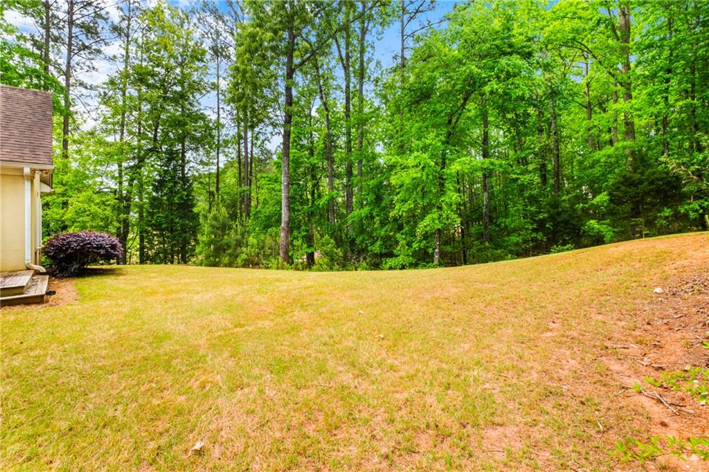 2400 Honey Court, Mcdonough, Georgia image 35