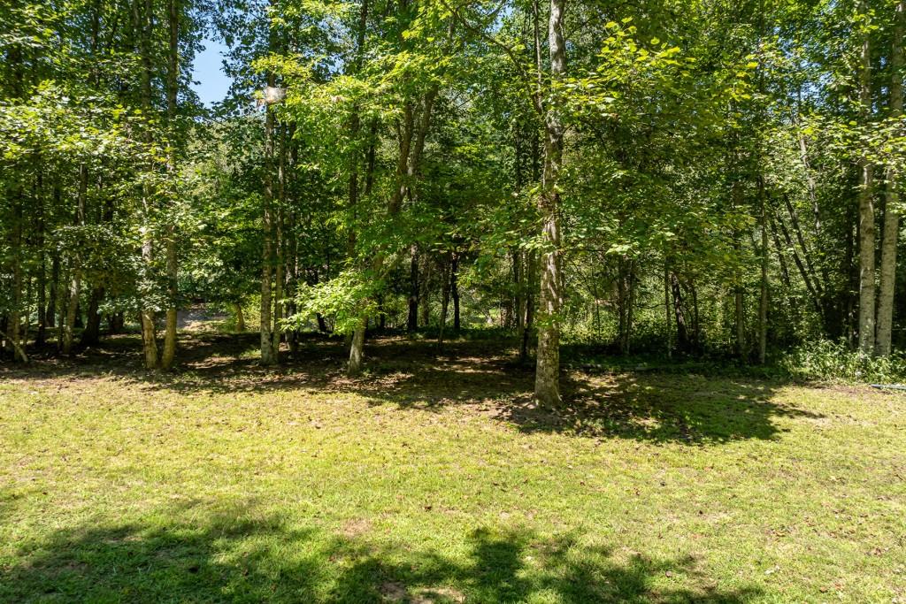 1 Hogback Drive, Blue Ridge, Georgia image 6