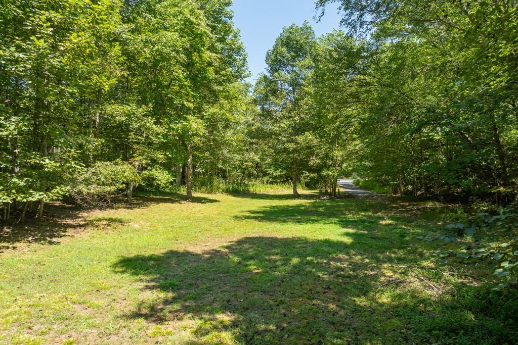 1 Hogback Drive, Blue Ridge, Georgia image 7