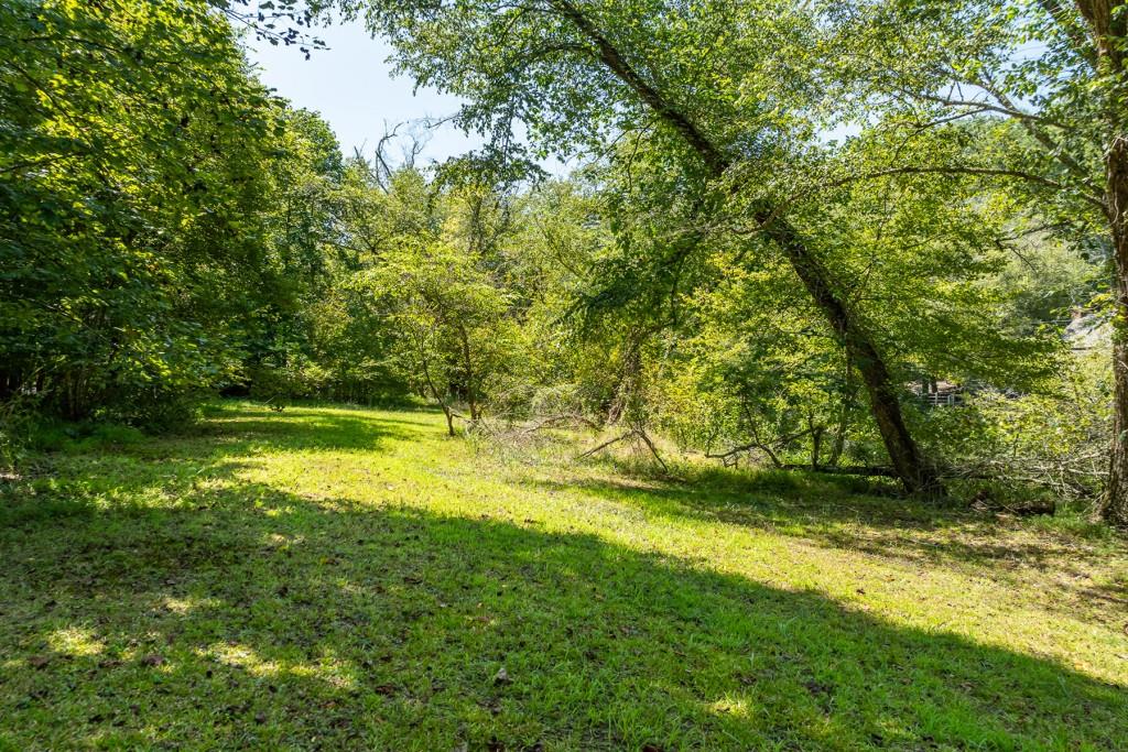 1 Hogback Drive, Blue Ridge, Georgia image 13