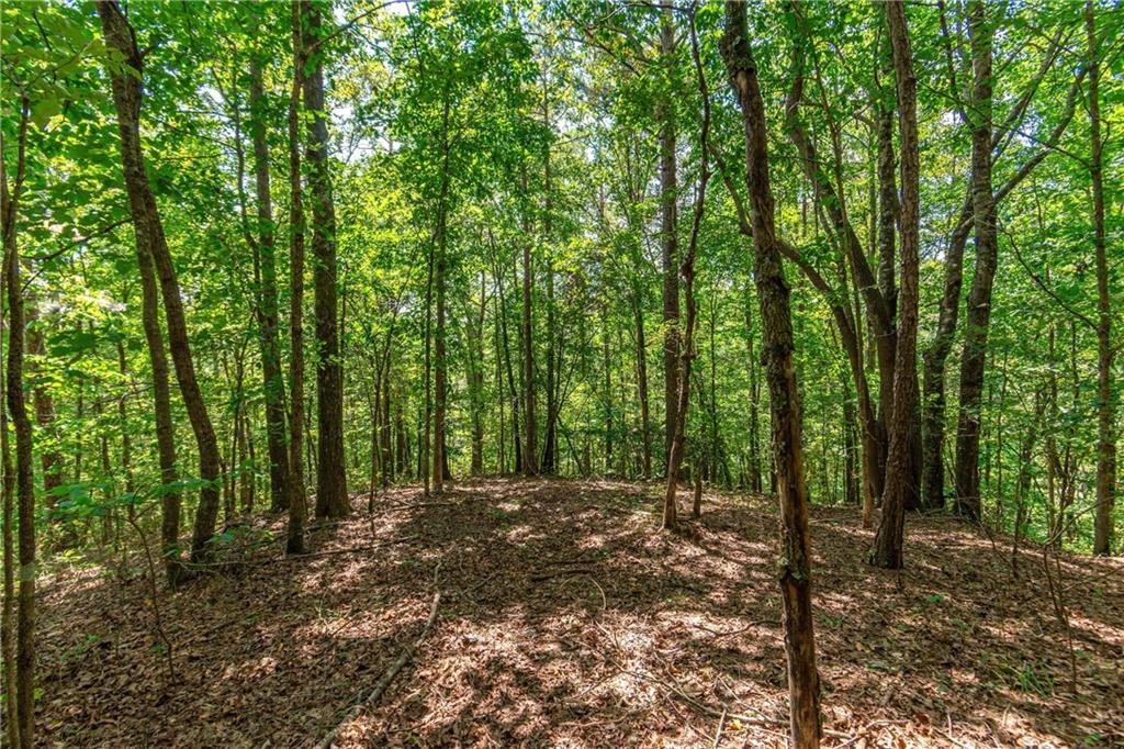 4.7AC Mountain Creek Hollow Drive