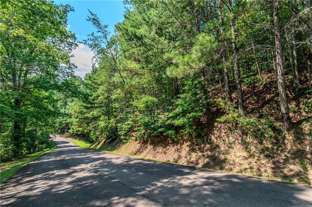 4.7AC Mountain Creek Hollow Drive