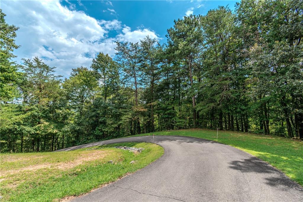 4.7AC Mountain Creek Hollow Drive