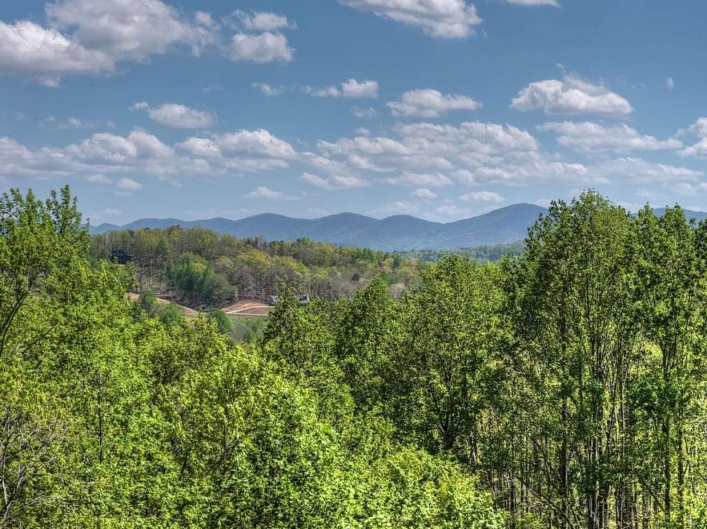 315 Blue Berry Ridge