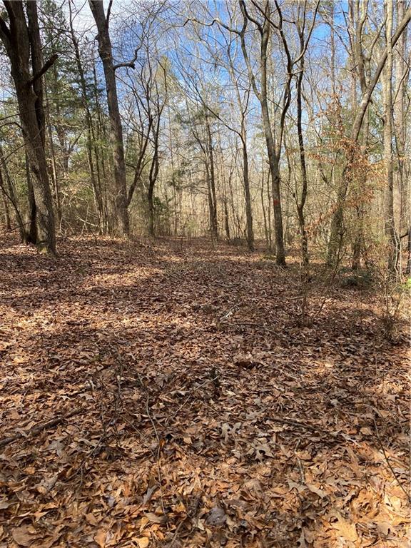 Lot 14 Utah Drive, Elberton, Georgia image 11