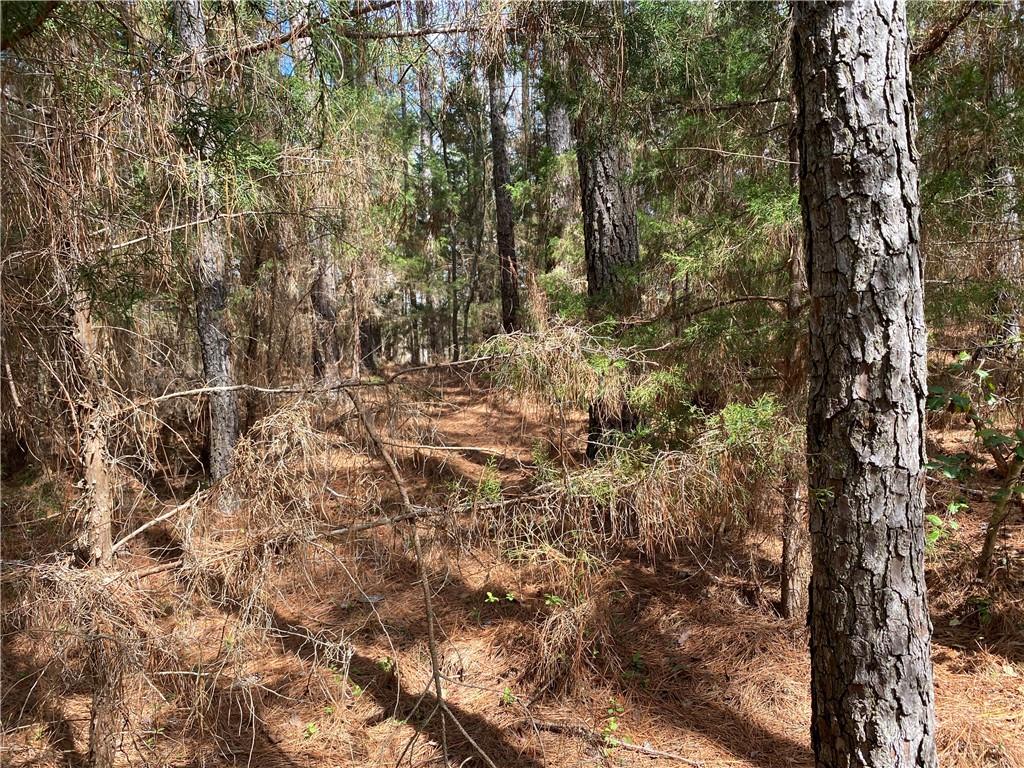 Lot 14 Utah Drive, Elberton, Georgia image 17