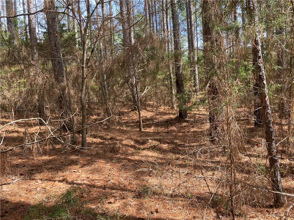 Lot 14 Utah Drive, Elberton, Georgia image 18