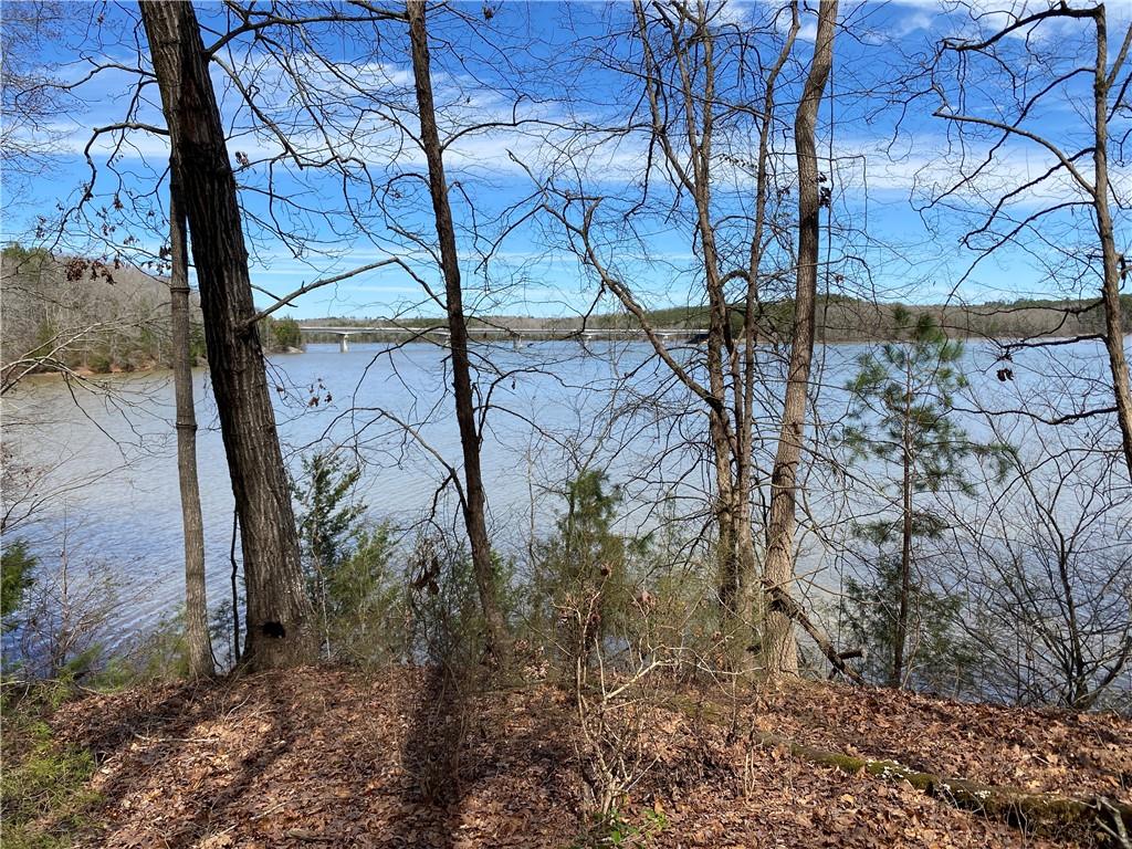 Lot 14 Utah Drive, Elberton, Georgia image 9