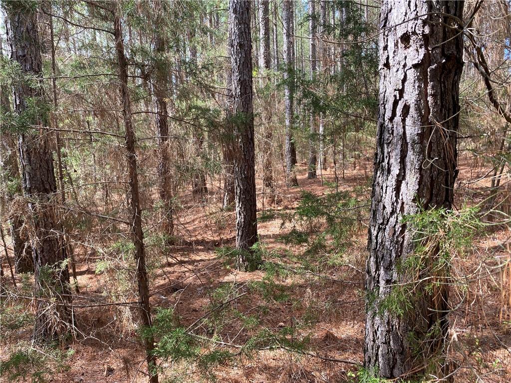 Lot 14 Utah Drive, Elberton, Georgia image 15