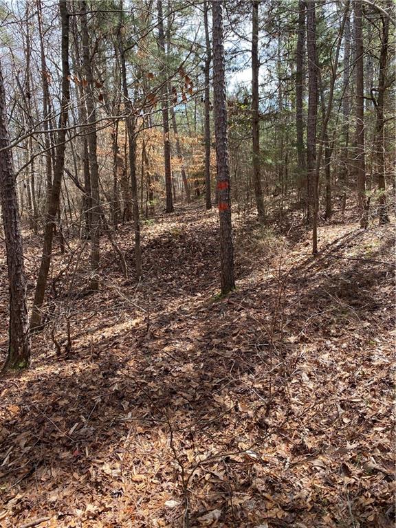 Lot 14 Utah Drive, Elberton, Georgia image 10