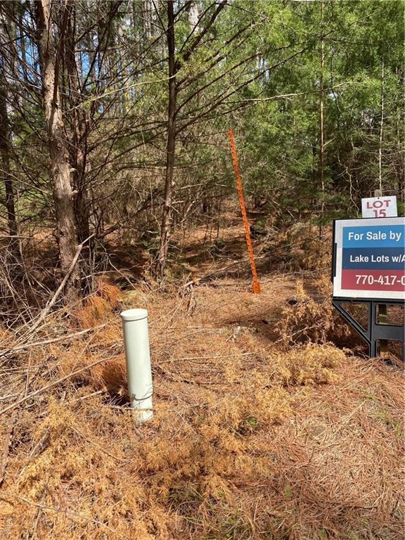 Lot 14 Utah Drive, Elberton, Georgia image 21