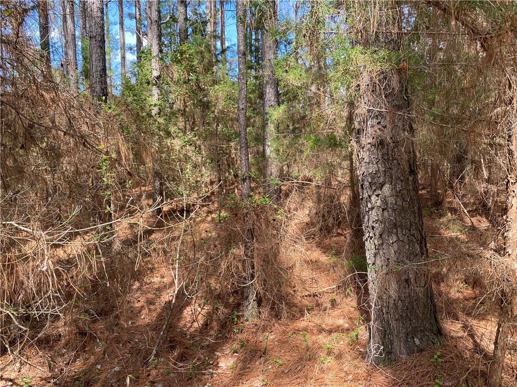 Lot 14 Utah Drive, Elberton, Georgia image 16