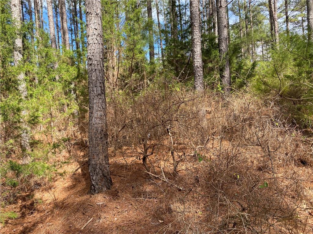 Lot 14 Utah Drive, Elberton, Georgia image 19