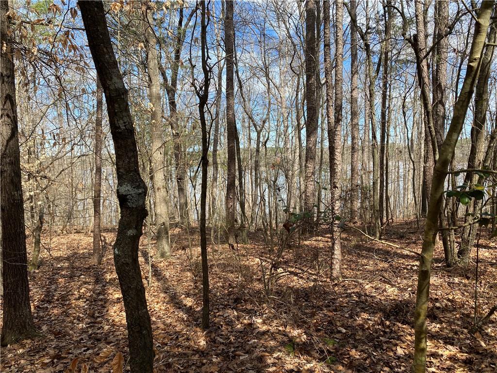 Lot 14 Utah Drive, Elberton, Georgia image 13