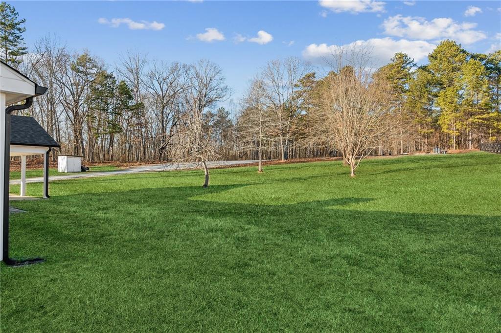 397 Harvey Lokey Road, Bethlehem, Georgia image 32