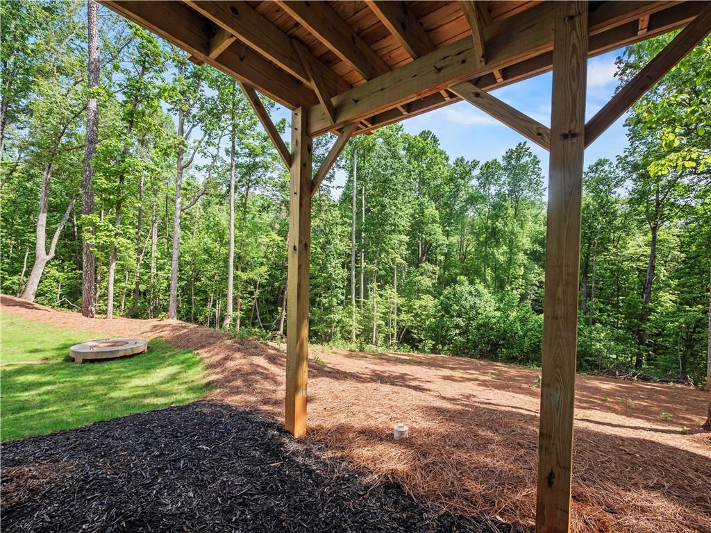 50 Hannahs Court, Dawsonville, Georgia image 28