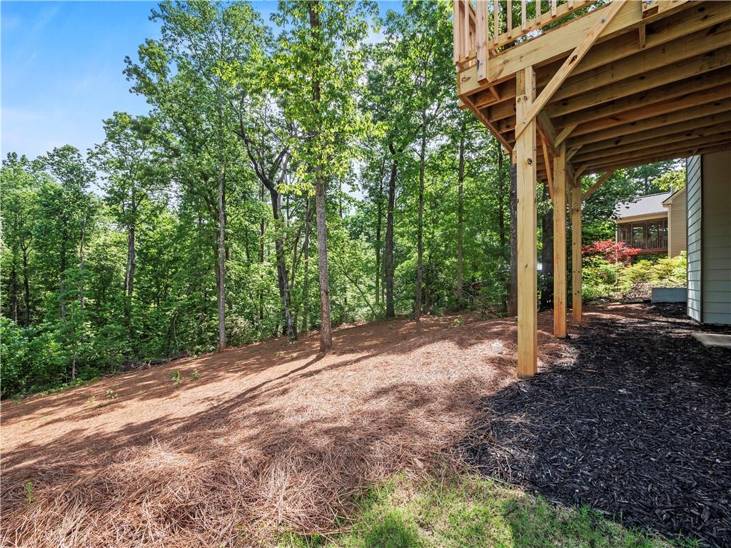 50 Hannahs Court, Dawsonville, Georgia image 29