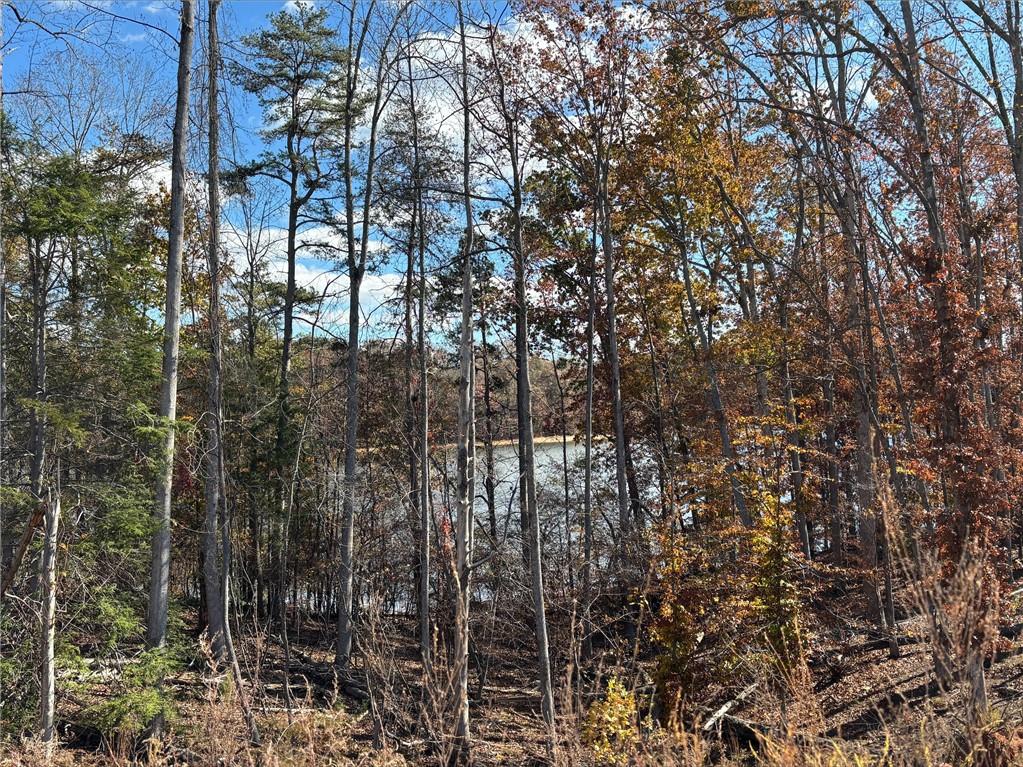 Chestatee - Residential