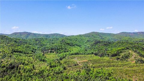 A home in Ellijay