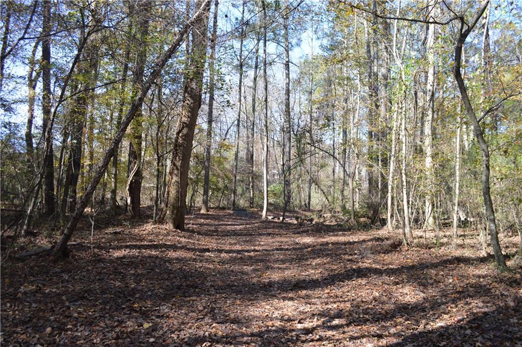 The Preserve At Lost Mill Trace - Residential