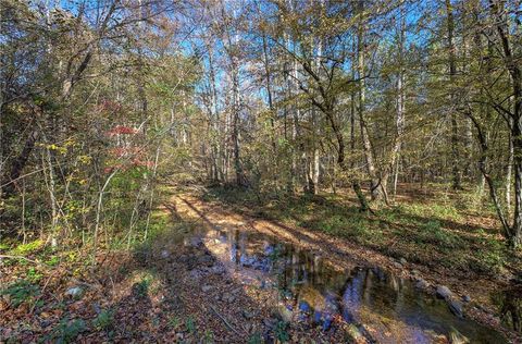 Single Family Residence in Rydal GA 4137 Highway 140.jpg