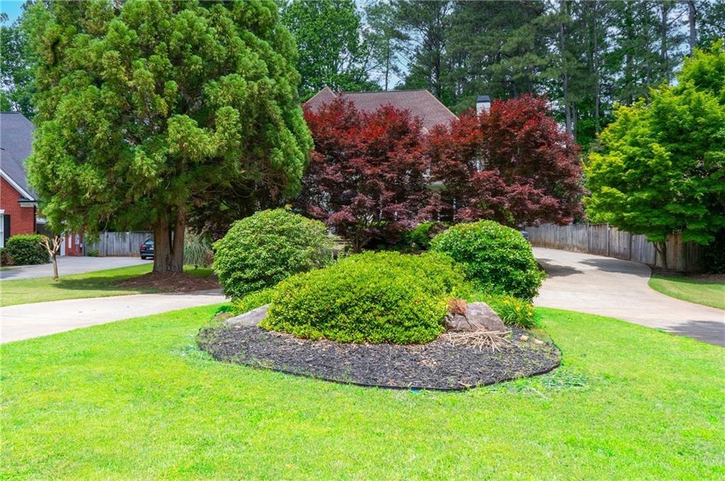 Lost Forrest - Residential