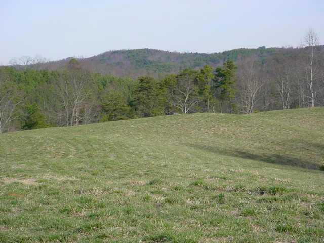 Private wooded property with no restrictions for hunting camp, investment property, possible site for development, & more.