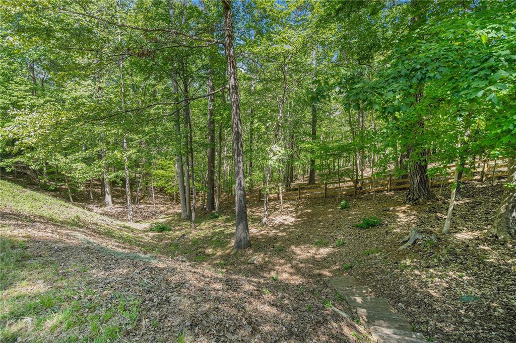 629 Gold Valley Pass, Canton, Georgia image 46