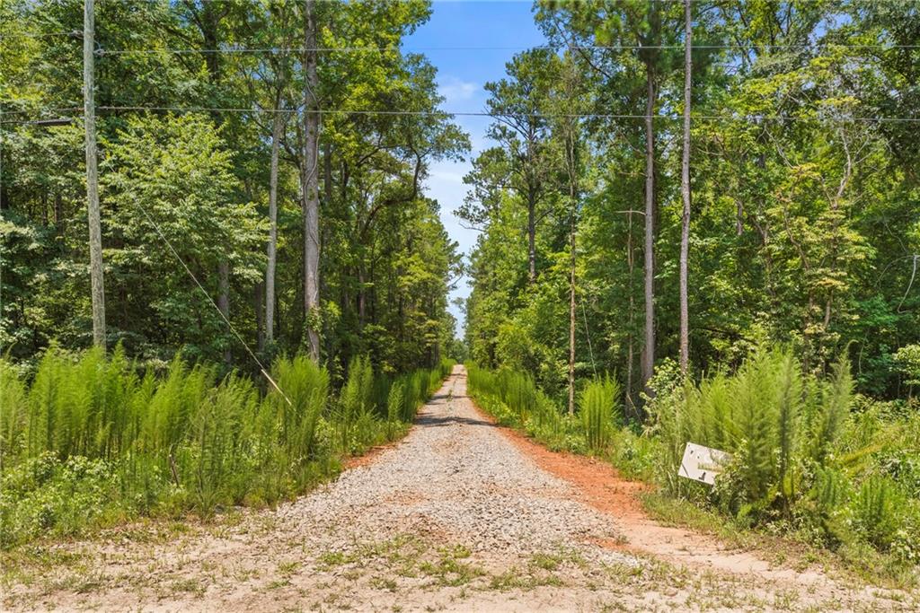 1063 Glover Road, Zebulon, Georgia image 3